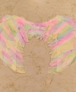 Wings Feather - Colour