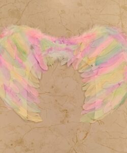 Wings Feather - Colour