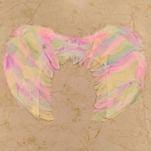 Wings Feather - Colour