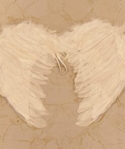Wings Feather - White