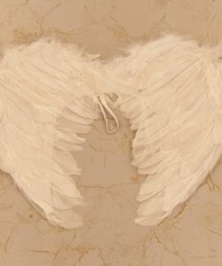 Wings Feather - White