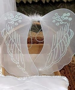 Wings Cloth
