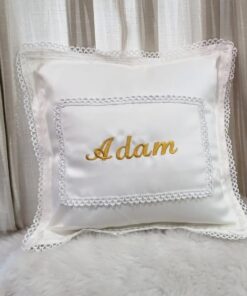 PL6-Pillow