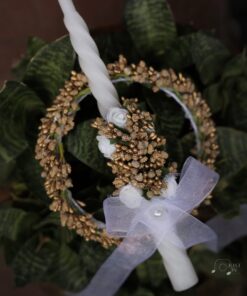 TR11-Tiara