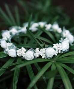 TR21-Tiara