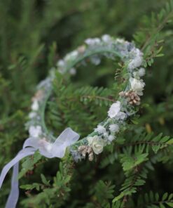 TR22-Tiara